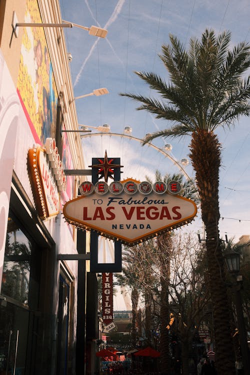 Saint Lucia Casino Gambling Regulations And Licensing Procedures